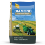 Grass Seed - Image 4